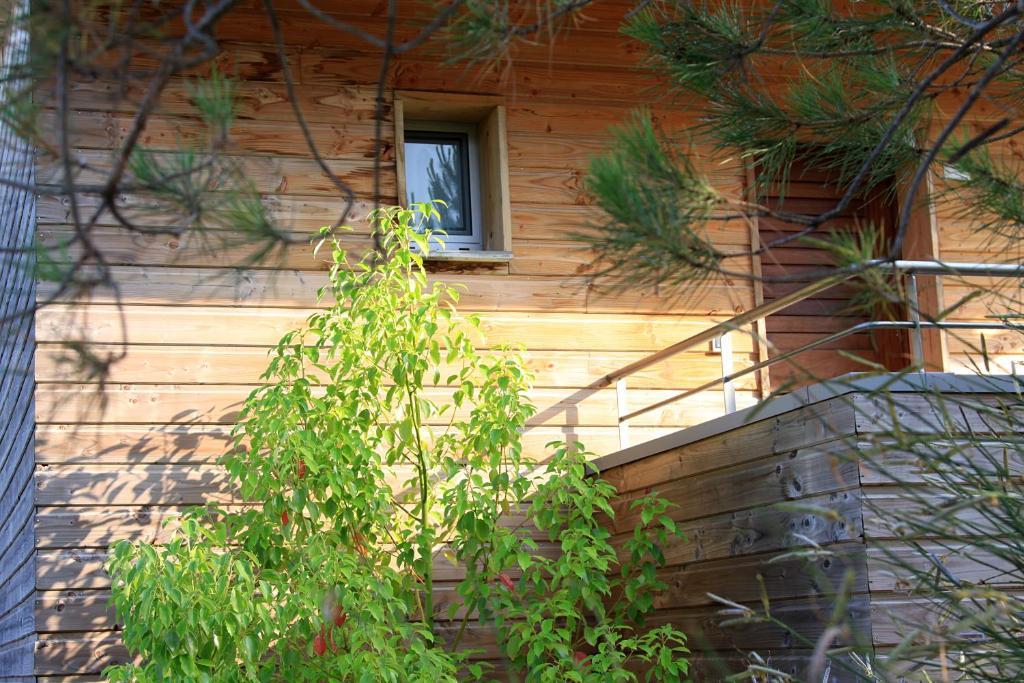 Apartment mit 2 Schlafzimmern (5 Erwachsene) - Nr. 1