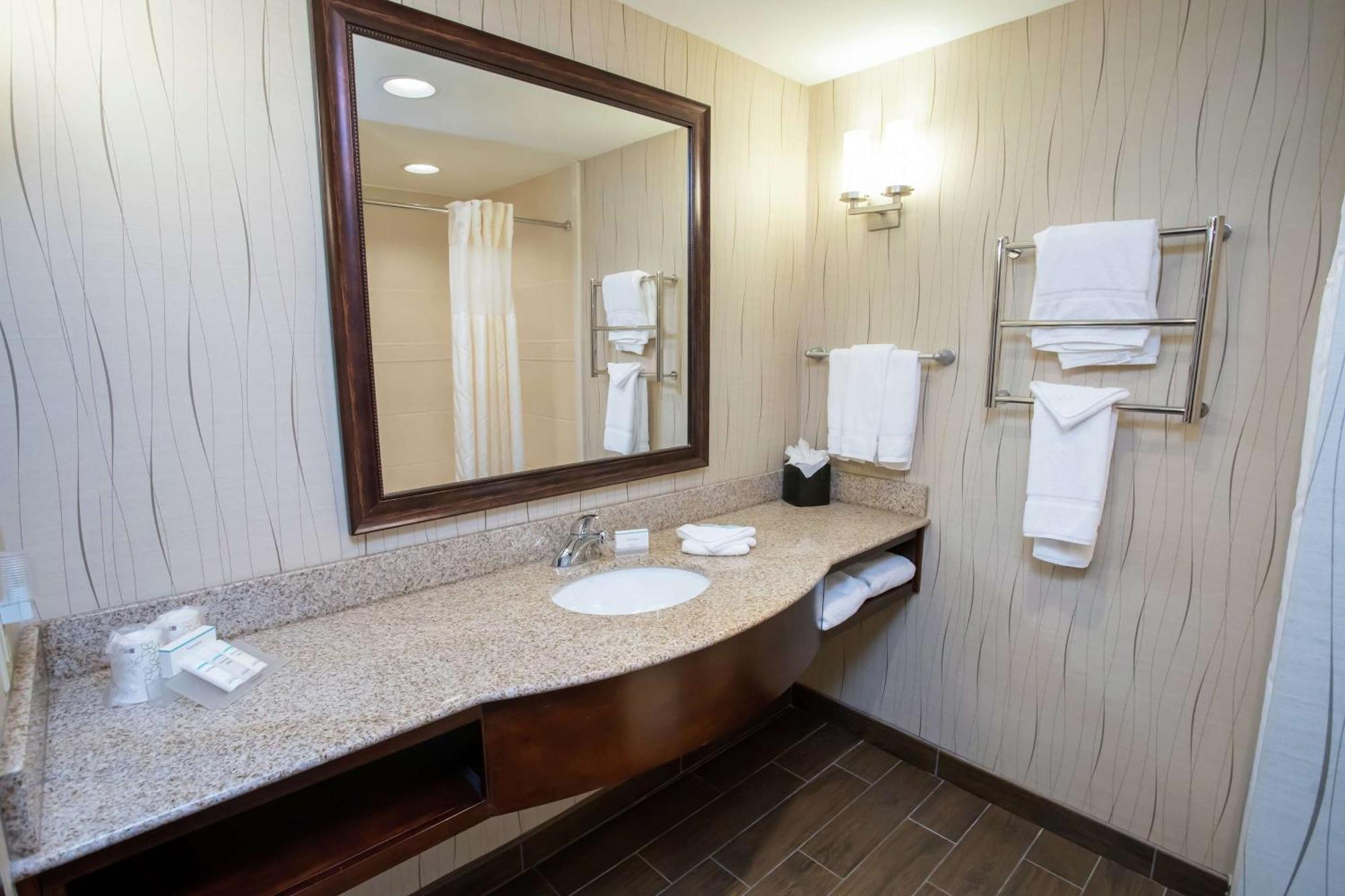 One-Bedroom King Suite with Sofa Bed