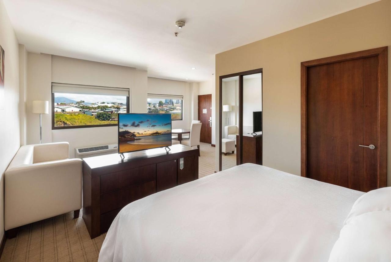 Suite Junior con cama extragrande - Para no fumadores