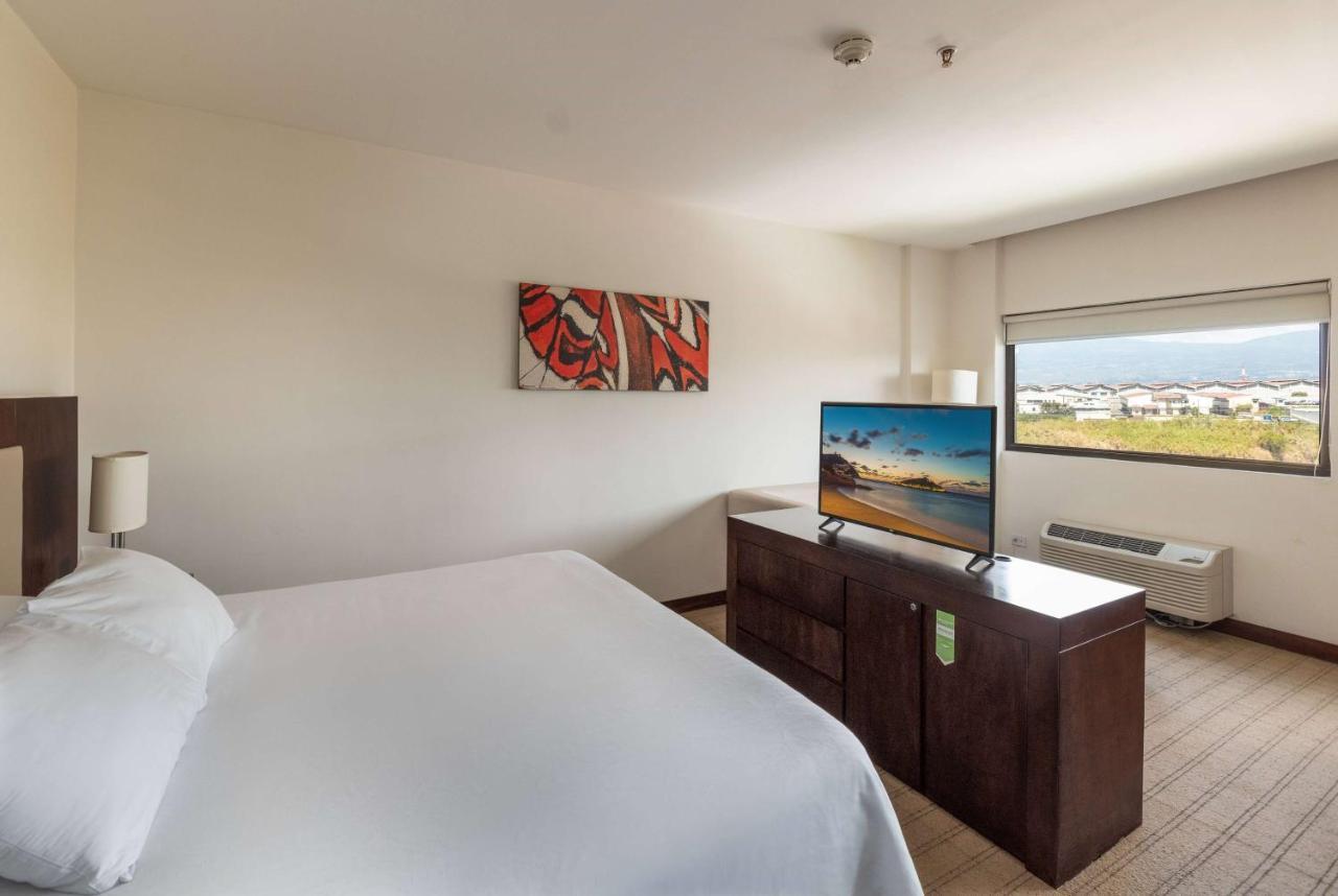 Suite Junior - No fumadores - Cama extragrande