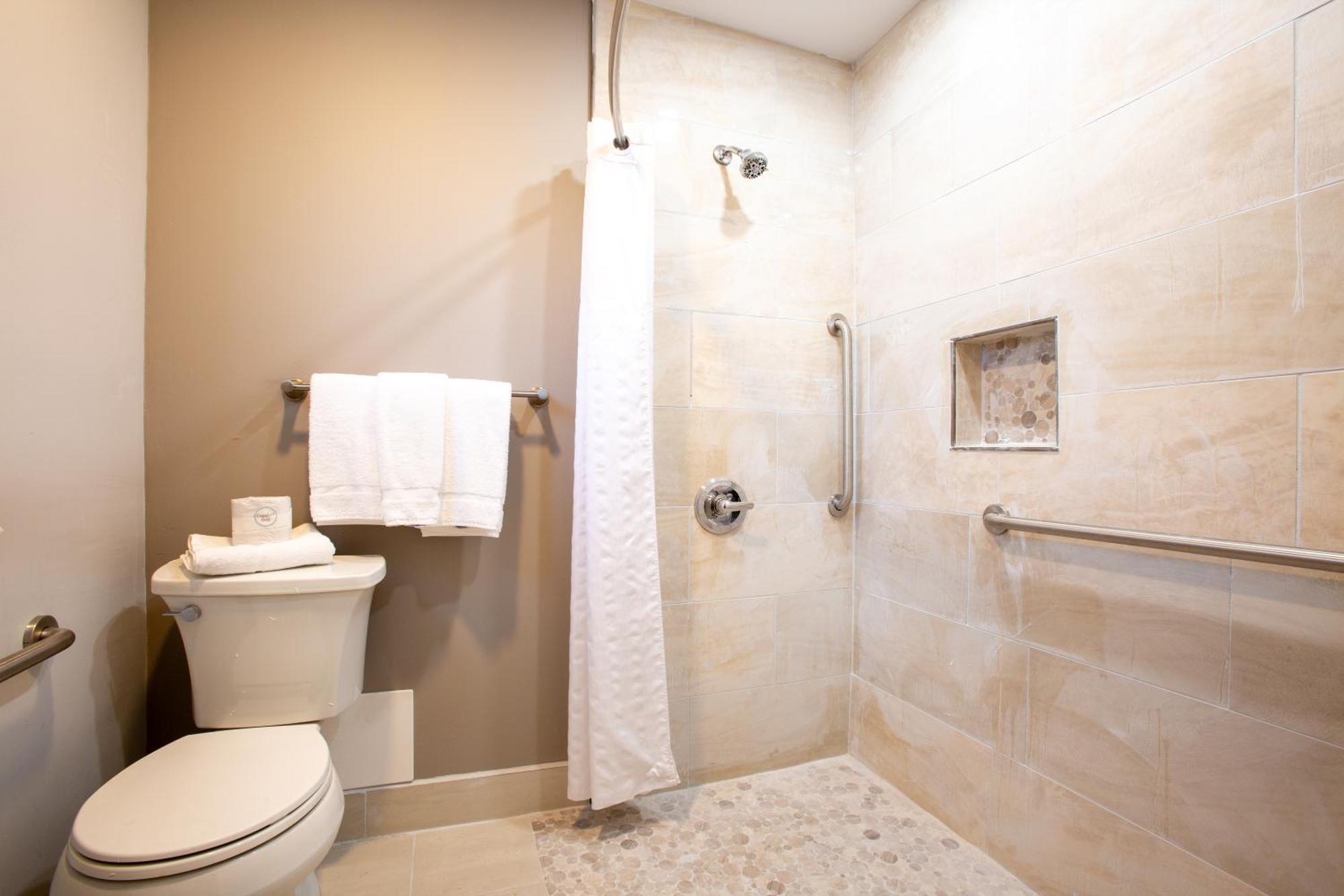 King Room Roll Shower Disability Access Non-Smoking,1538063830:JPEG