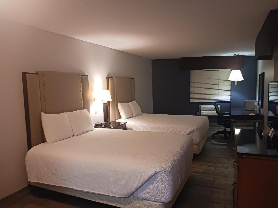 Deluxe Queen Suite