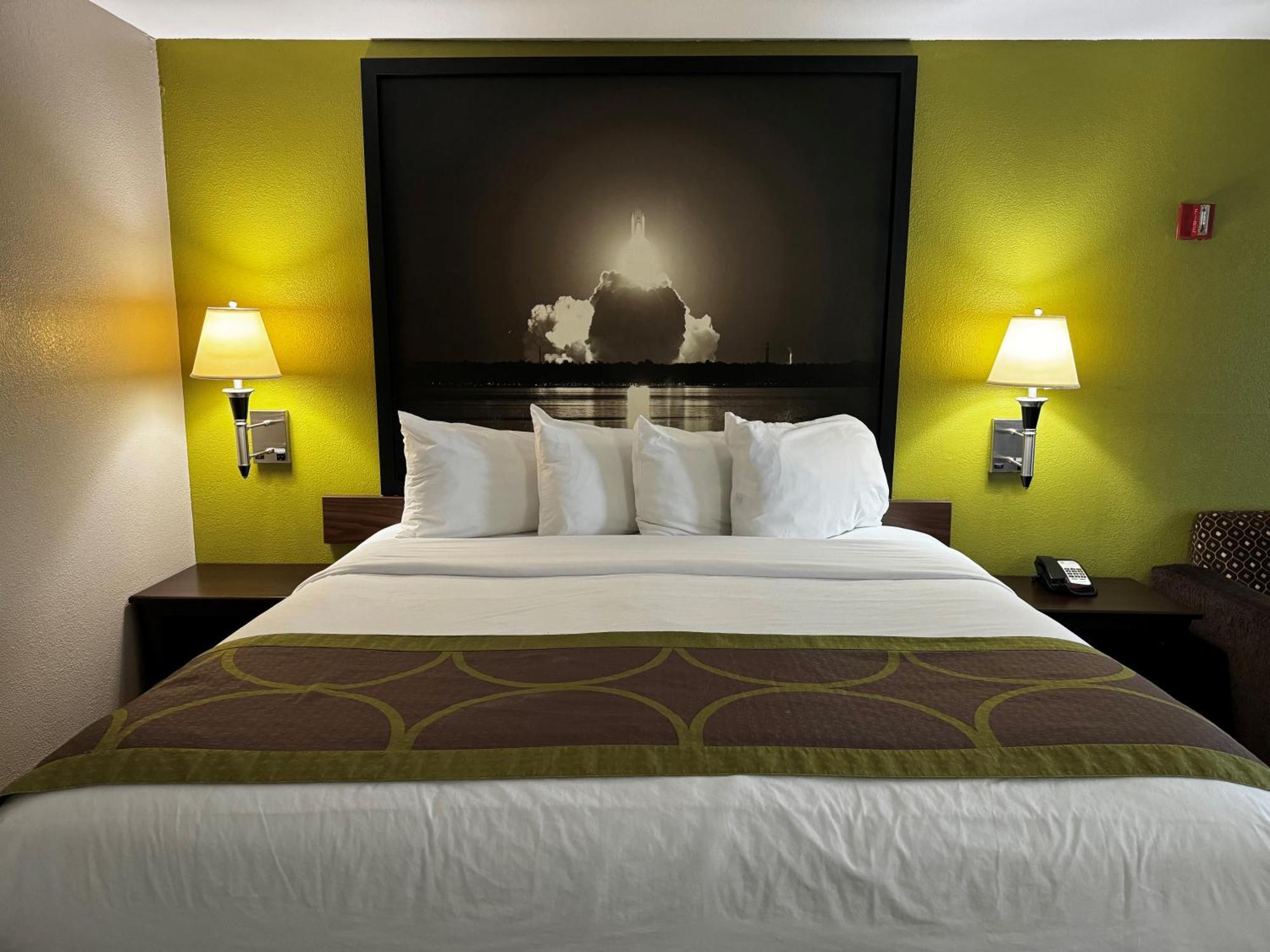 1 King Bed, Mobility/Hearing Access Room, Roll-In Shower, Pet-Friendly, Smoking
