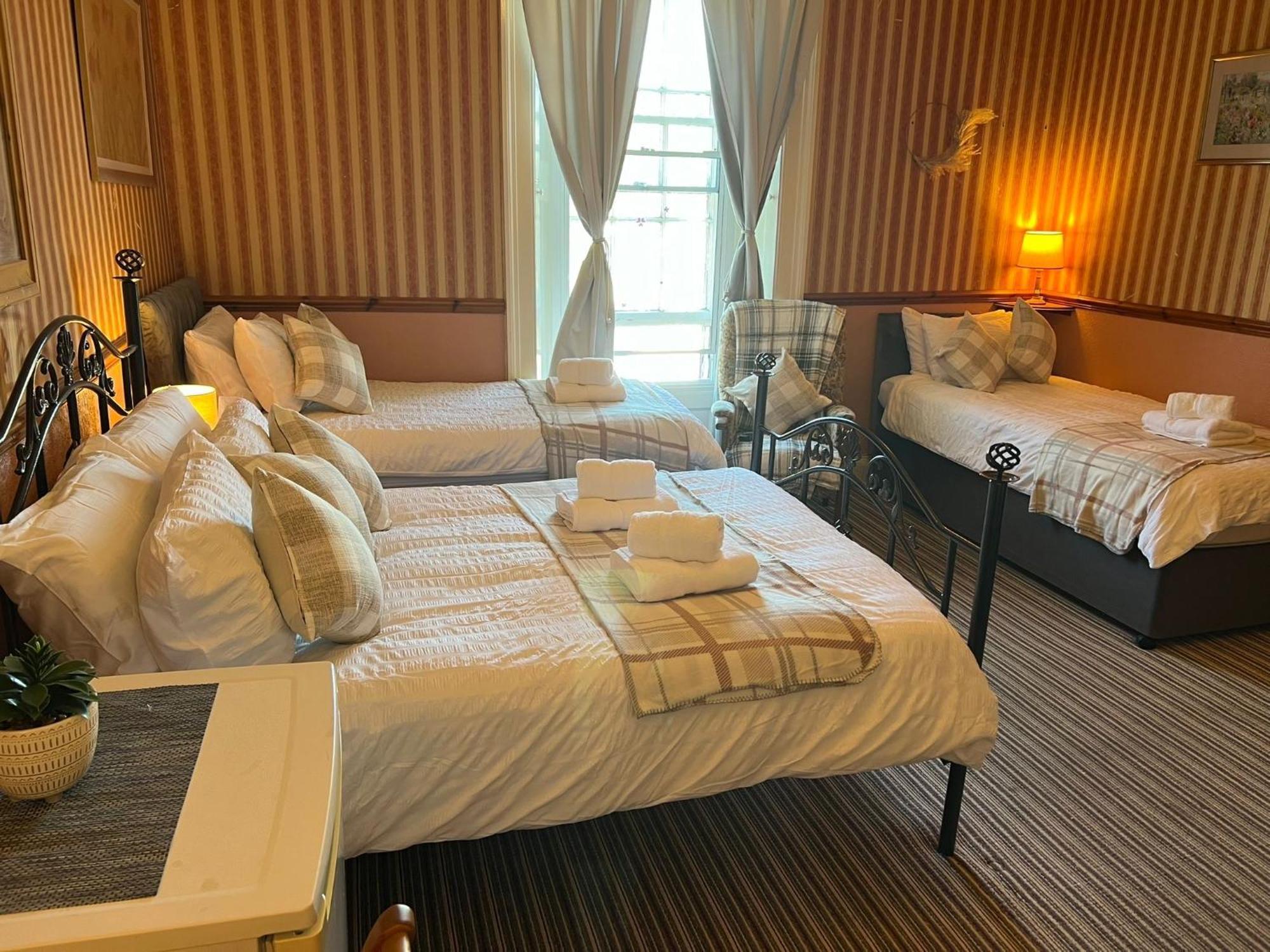 Standard Family Room,1731749760:JPEG