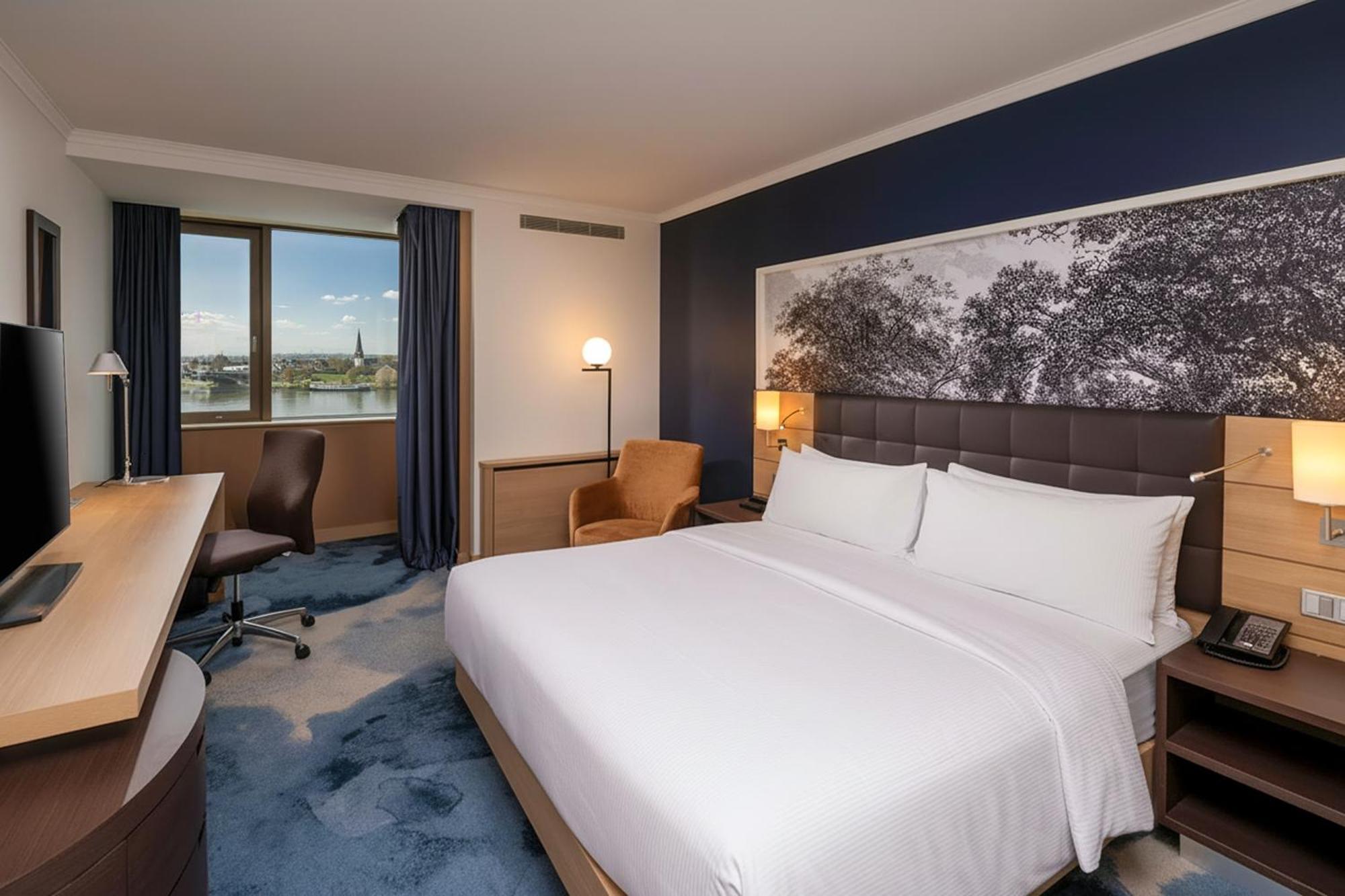 King Deluxe Room with River View - Rhine Wing