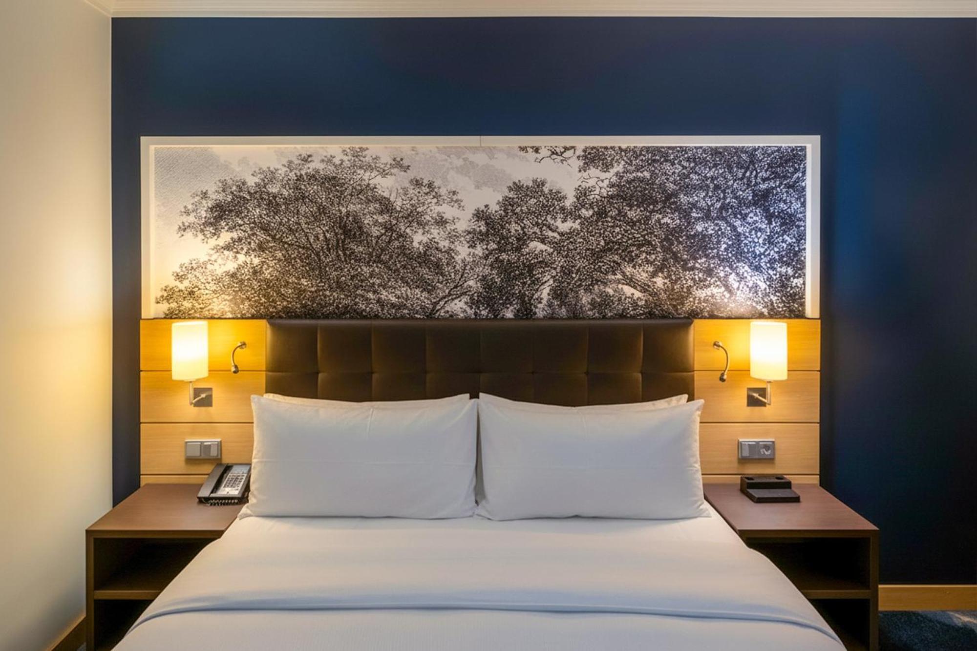King Deluxe Room with City View - Rhine Wing