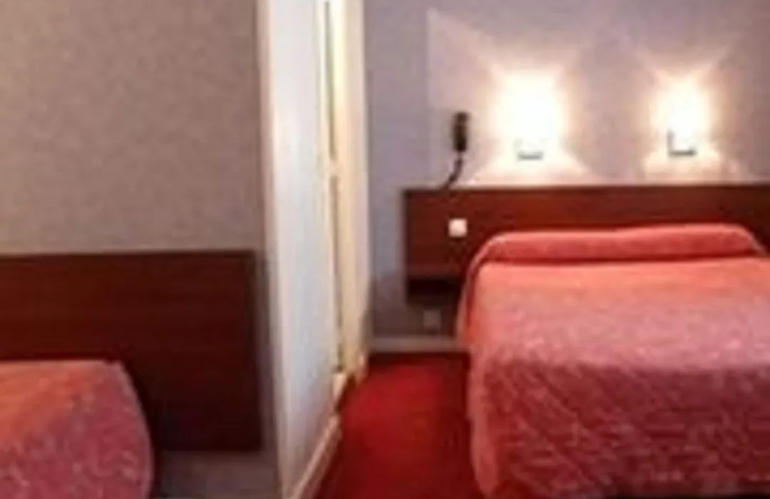 Camelia International-1