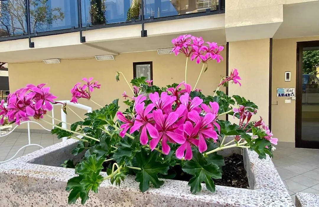 Hotel Abay-1