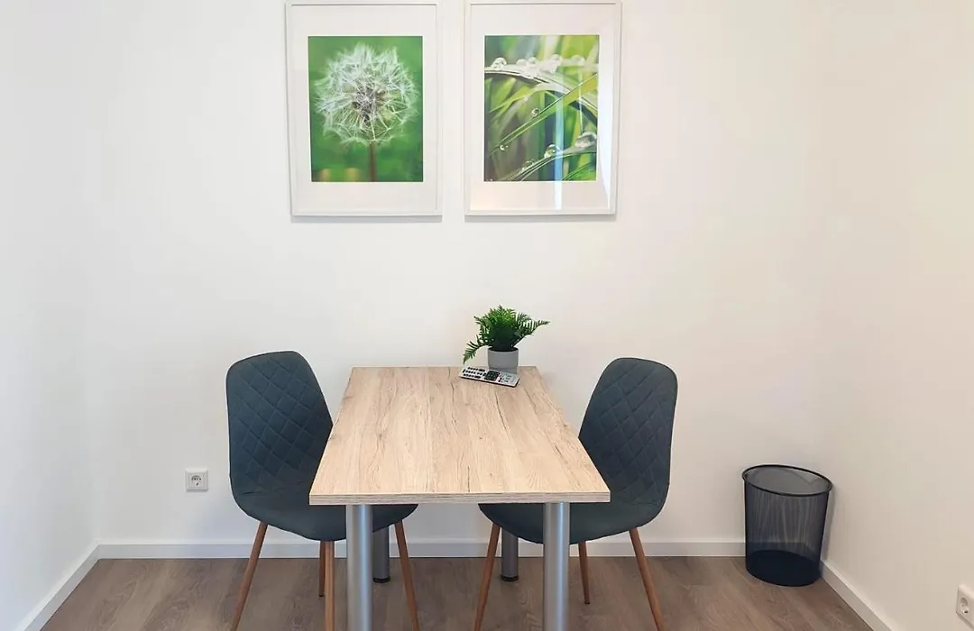 Greenpartment Boardinghousehotel Kelheim-1
