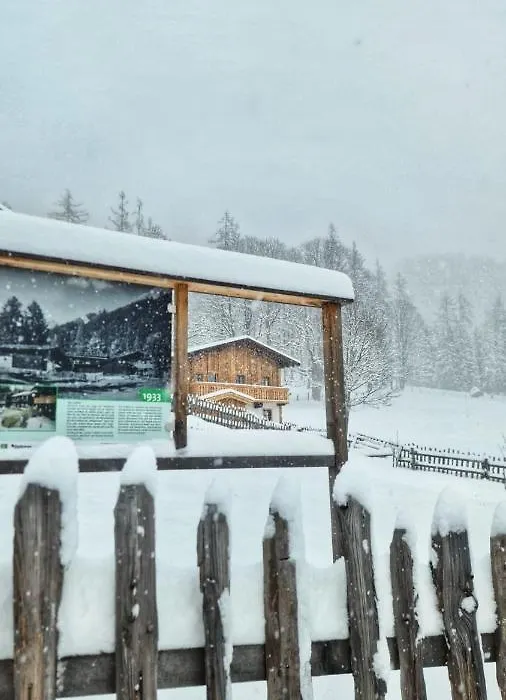 Holzerjuwel - Minzlhof Ramsau am Dachstein-1