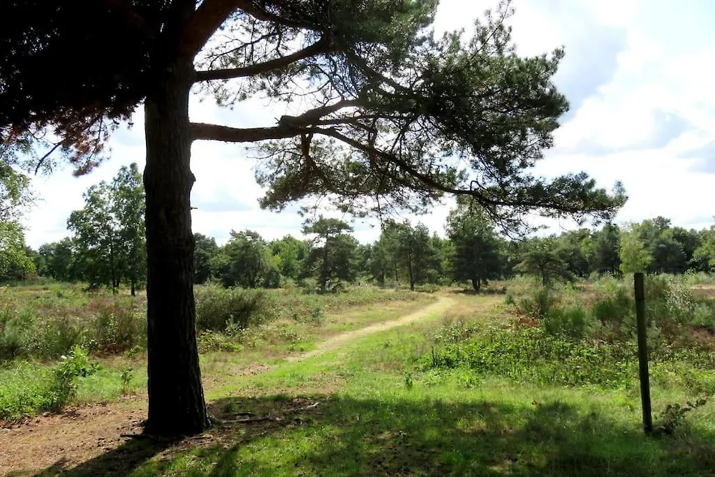 Sfeervol vakantiehuis op de Veluwe 2-6 personen-1