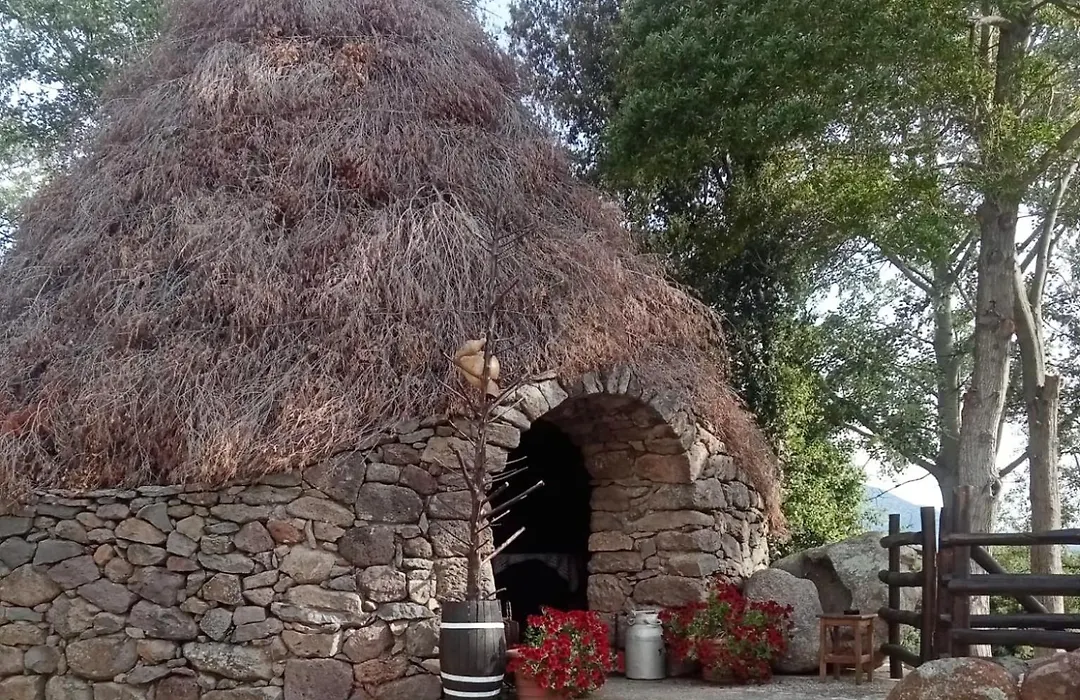 B&B Littu-1