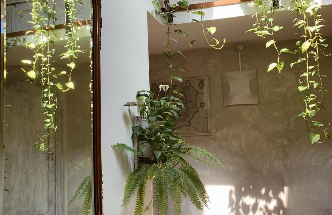 Gioia House-1