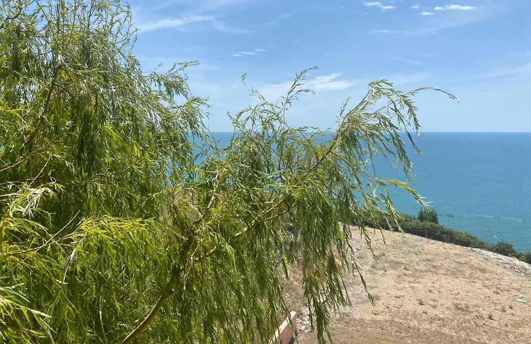 July Morning Seaside Resort-1