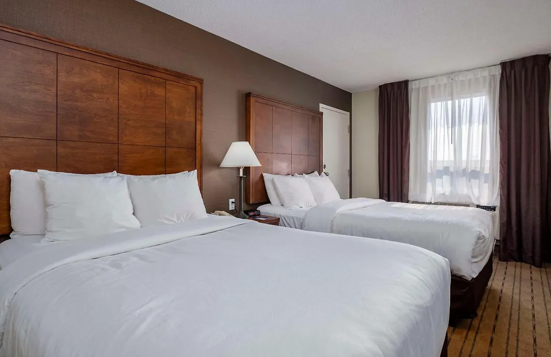 Comfort Inn - Gander-1