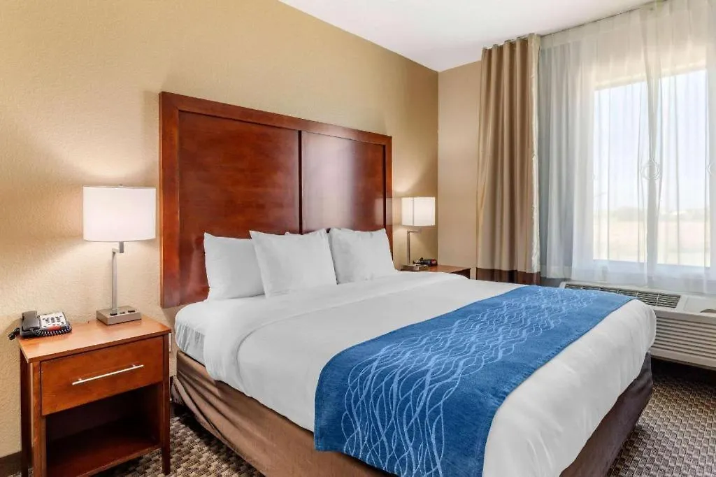 Comfort Inn & Suites Navasota-1