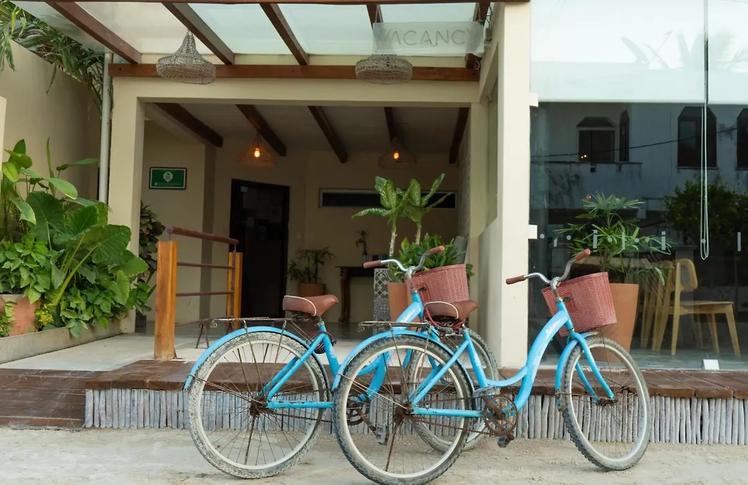 Hotel Siesta Holbox-1
