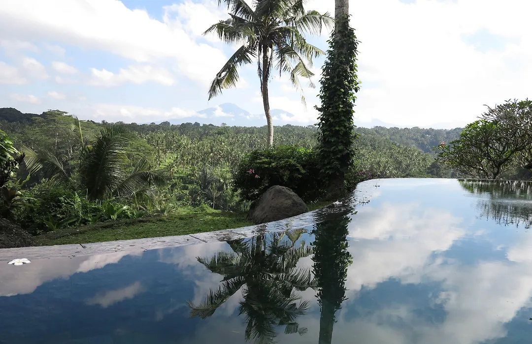 Taman Bebek Bali-1