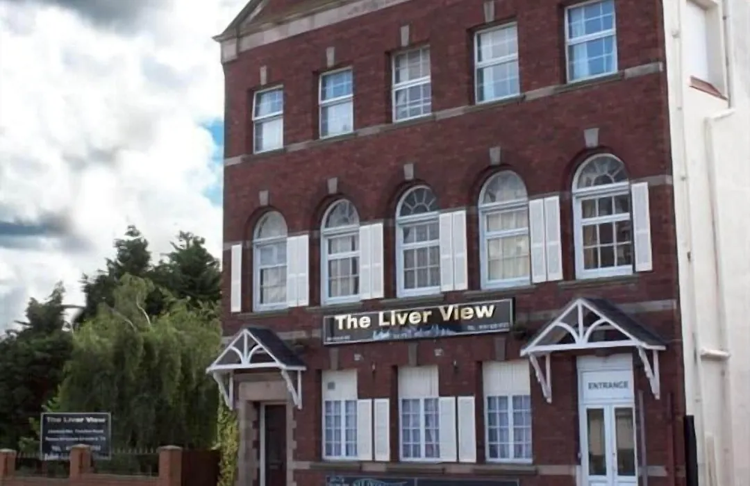 The Liver View-1