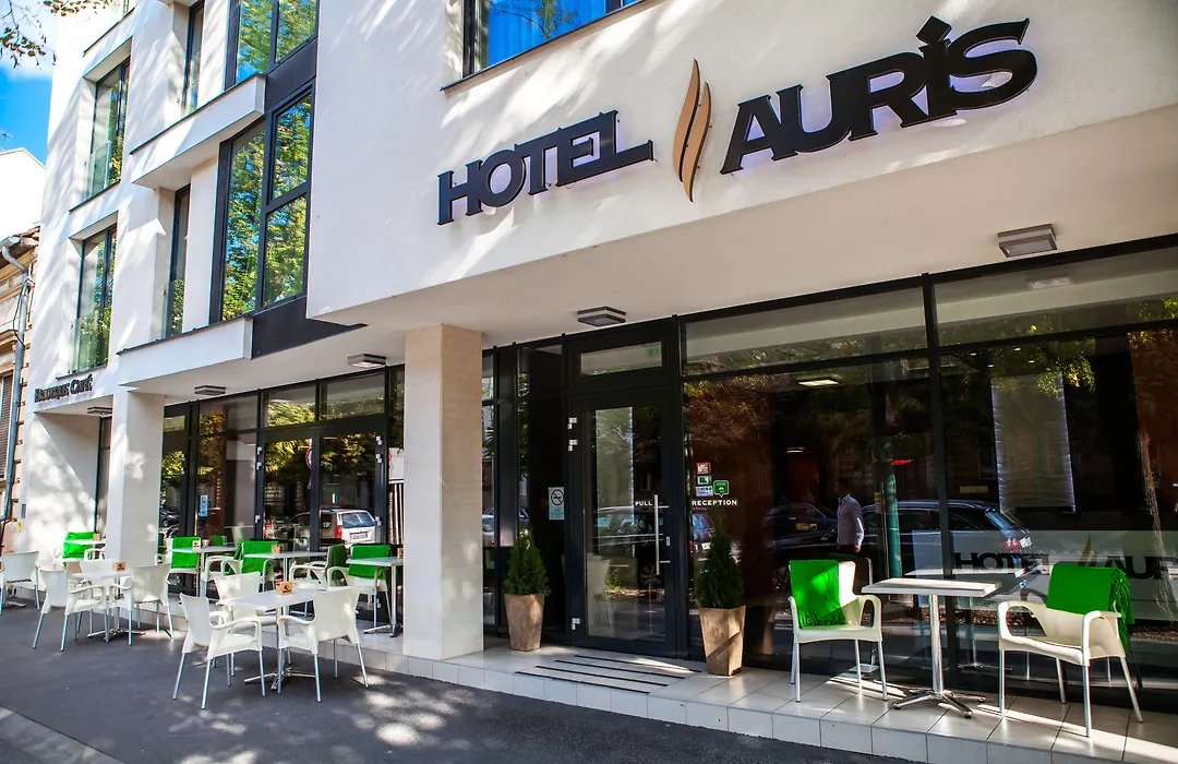Hotel Auris-1