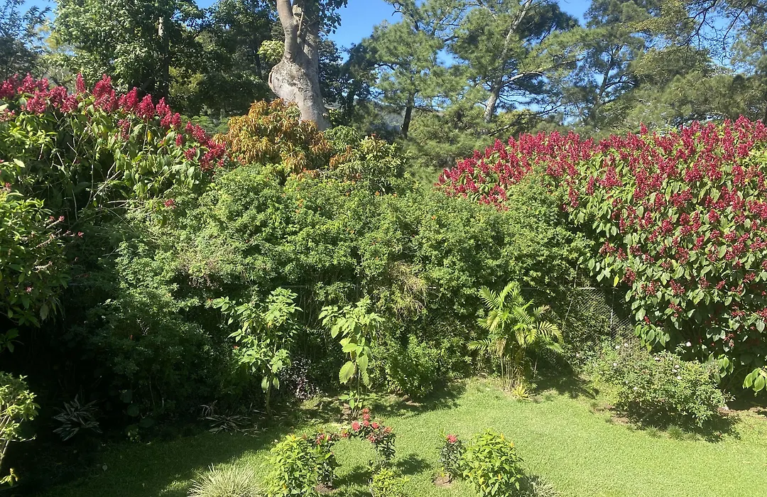 Tierra Magica B&B&Art Studio-1