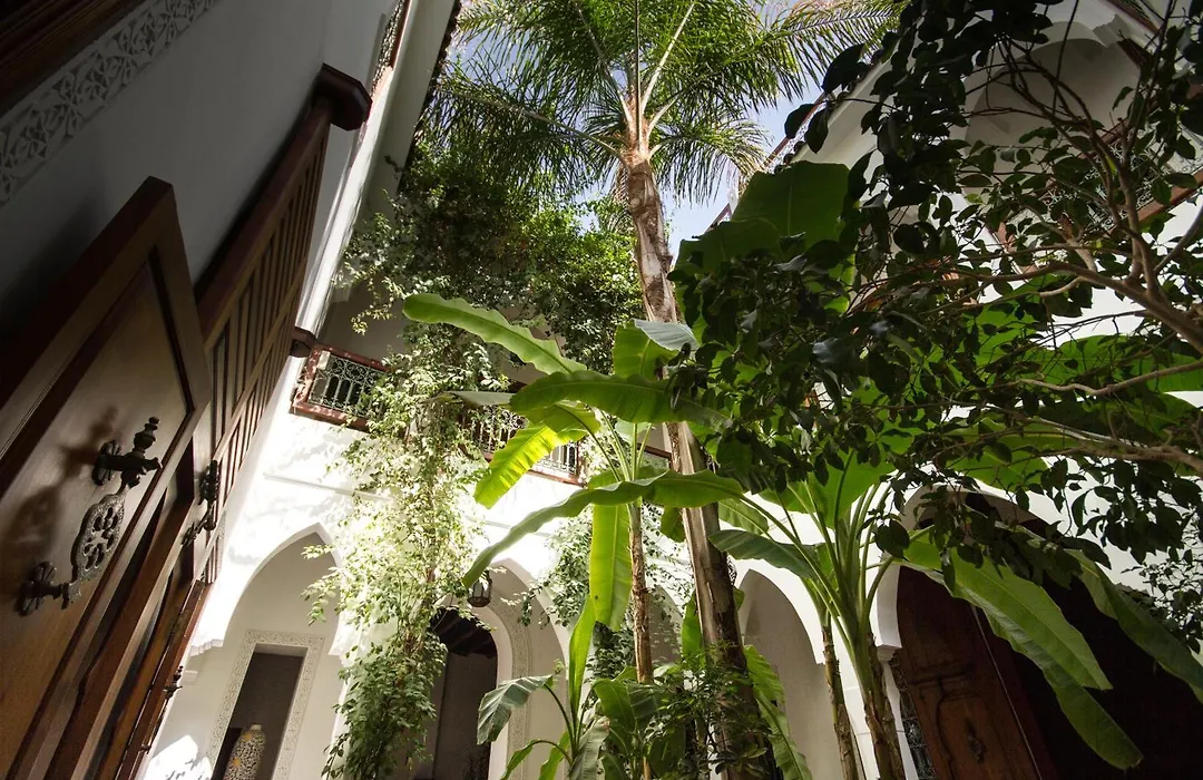 Riad Les Bougainvilliers-1