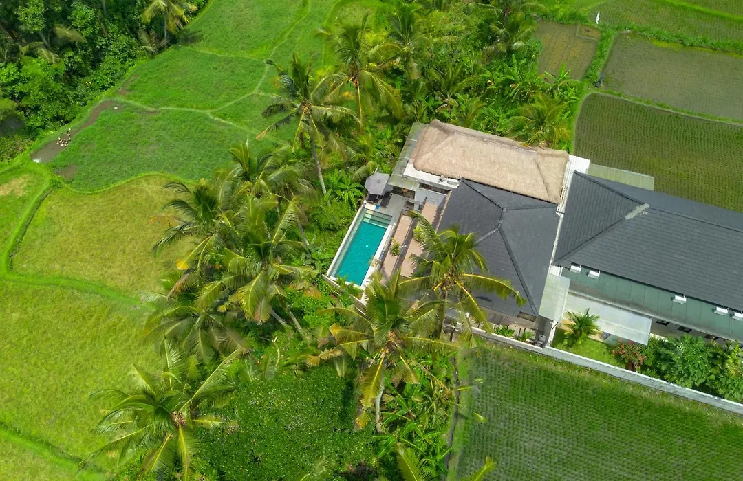 Bali View Ubud Hotel-1