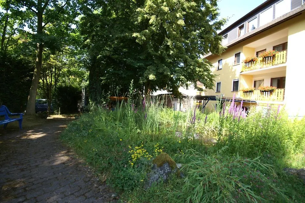 Hotel Weidenau-1
