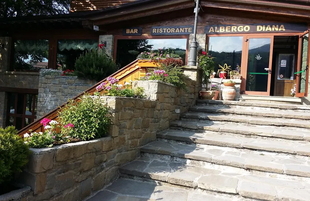 Albergo Diana-1