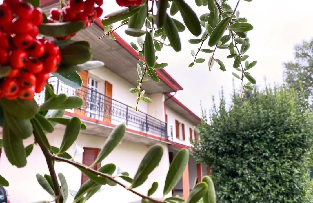Villa Molinella-1