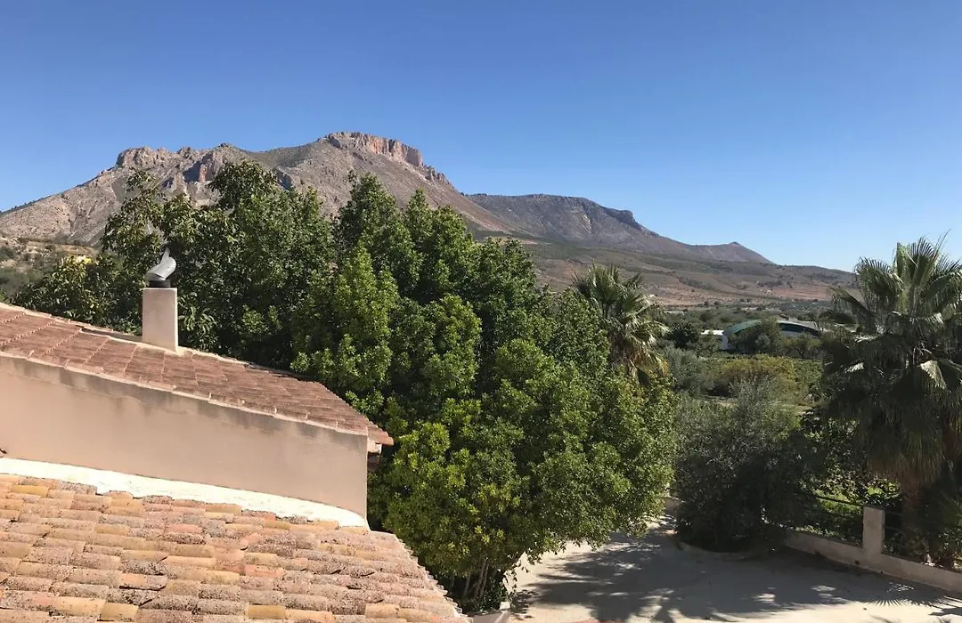 Cortijo Álamo 2-1