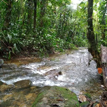 Serra e Mar-3