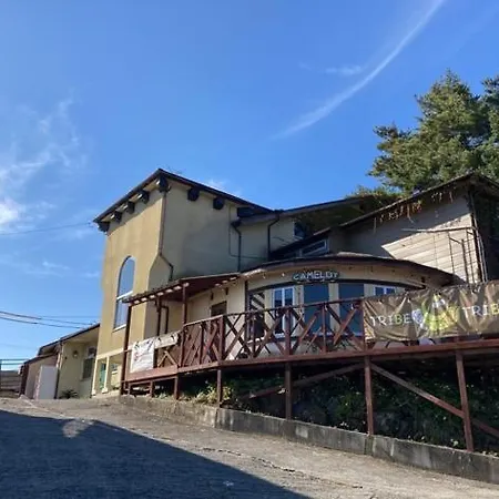 Koya Tribe - Vacation Stay 81288V-2