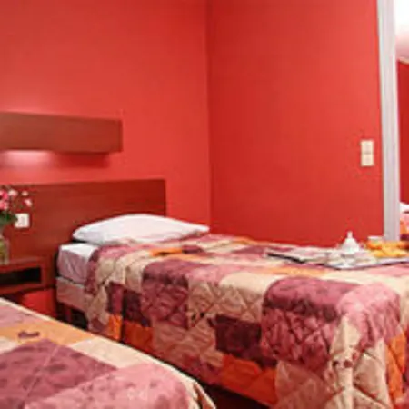 Camelia International-3
