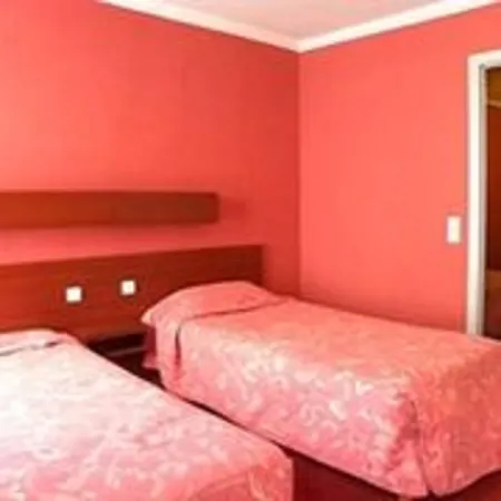 Camelia International-2