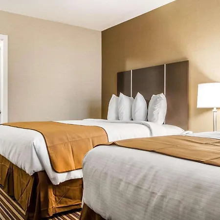 Quality Inn & Suites South Portland-2