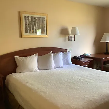 Luxury Inn & Suites-3