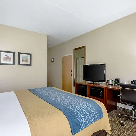 Comfort Inn Indianapolis North - Carmel-3