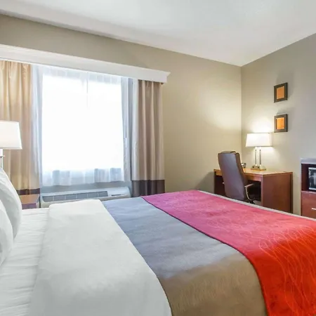 Comfort Inn Bolivar-3
