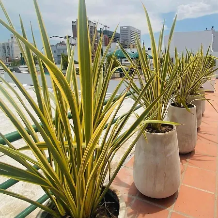 Hotel Castelar Cordoba-3