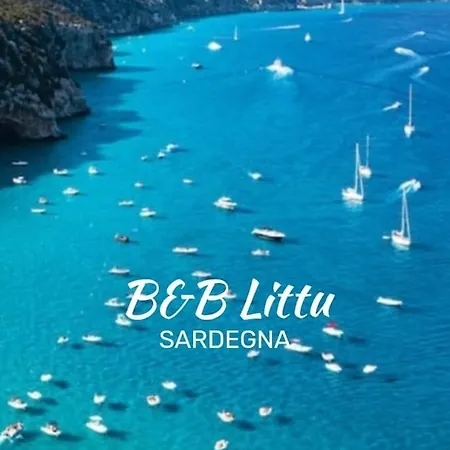 B&B Littu-2