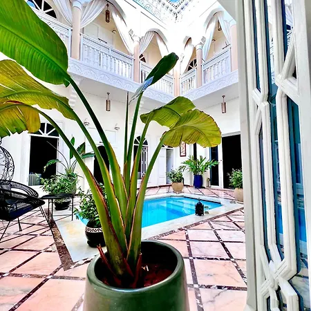Riad Dreams-2