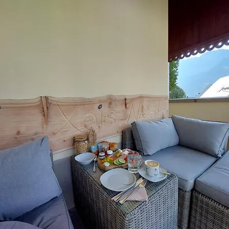 Xeis NeSt-3