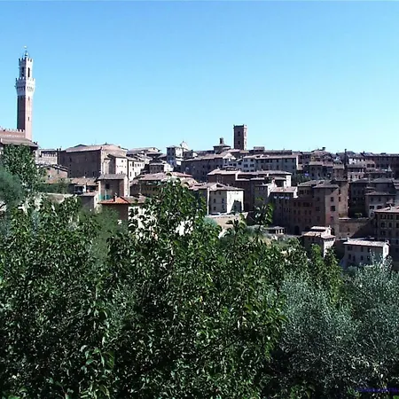 Bed & Breakfast Camollia-2