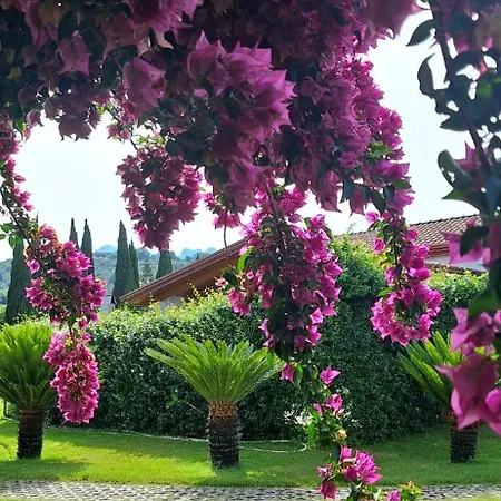 Villa Lucilla-3