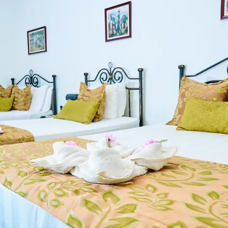 Hotel Los Balcones Leon-3