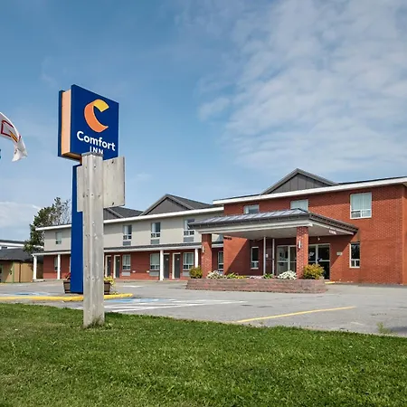 Comfort Inn - Gander-2