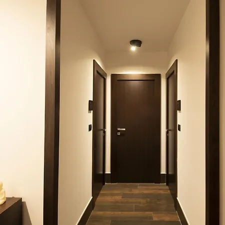 Domus Altana-3