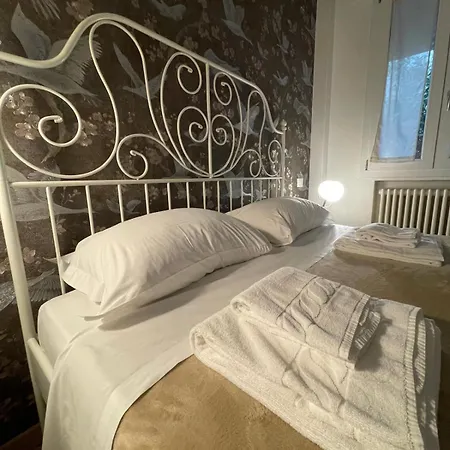Madam Treviso-3