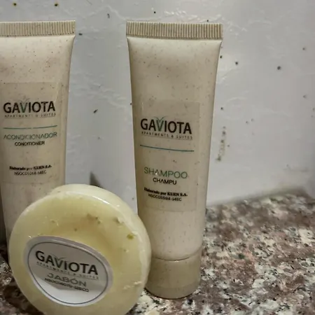 Gaviota Apartments & Suites-3